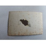 PHOTO MOTORCYCLE MOTORCYCLE