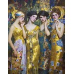 Andrew Andrychowski, Mr. 2237b