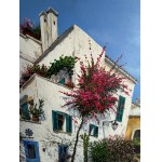 Magdalena Kępka, Hot South 2026