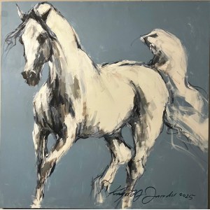 Krzysztof Jarocki, Race, 2025