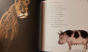 Józef Wilkoń, Lwica i maciora. Projekt ilustracji 'Bajki o zwierzętach’ Ignacego Krasickiego