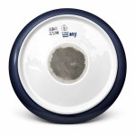 Rare Royal Copenhagen platter - Water Lily and Dragonfly (Model 2367/2356) - Secession