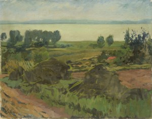 Zygmunt SCHRETER (SZRETER) (1886-1977), Pejzaż z łąkami