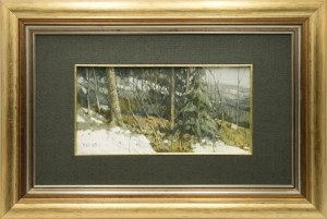 Jerzy DUDA-GRACZ (1941-2004), Pejzaż, 1985