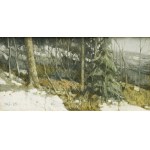 Jerzy DUDA-GRACZ (1941-2004), Landscape, 1985