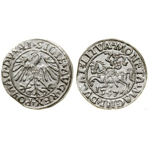 Poland, half-penny, 1547, Vilnius