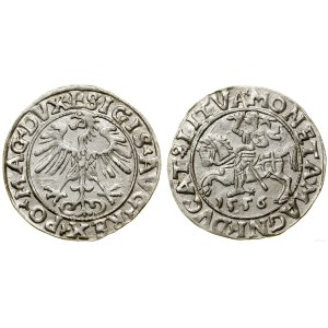 Poland, half-penny, 1556, Vilnius