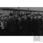 Home Army: Unpublished Photograph of Home Army Soldiers in Captivity—Eagle, Field Cap, Pennant, Armband