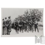 Home Army: Unpublished Photograph of Warsaw Insurgents Being Led into Captivity at Gunpoint—Pepesz, Mosin, Armband, MG08/15 Machine Gun