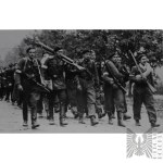 Home Army: Unpublished Photograph of Warsaw Insurgents Being Led into Captivity at Gunpoint—Pepesz, Mosin, Armband, MG08/15 Machine Gun