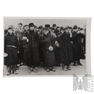 Armia Krajowa Niepublikowana(?) Fotografia Żołnierzy Armii Krajowej w Niewoli Niemieckiej