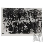 Home Army: Unpublished Photograph of Home Army Soldiers Being Taken into Captivity - Flag, Warsaw Uprising