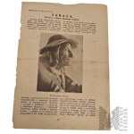 [ZBIÓR RODZINY JEŻEWSKICH] PRL? Zbiór Rysunków Drzewa Genealogicznego Rodziny Górskich i Jeżewskich