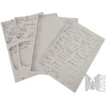 [ZBIÓR RODZINY JEŻEWSKICH] PRL? Zbiór Rysunków Drzewa Genealogicznego Rodziny Górskich i Jeżewskich
