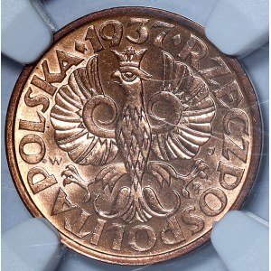 2 pennies 1937 GREAT, RED