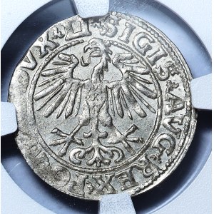 Zygmunt II August, Półgrosz 1551, Wilno, LI/LITVA