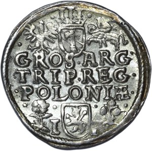 Zygmunt III Waza, Trojak 1596, Wschowa