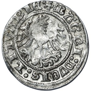 Zygmunt I Stary, Półgrosz 1517, Wilno