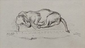 Henryk Hayden (1883-1970), Azor, 1944