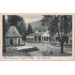 DŁUGOPOLE-ZDRÓJ (p. Klodzko). Bad Langenau, Grafsch. Glatz - Im Kurpark