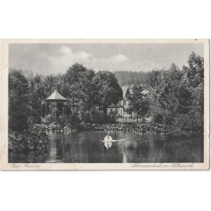 DUSZNIKI-ZDRÓJ (p. Kłodzko). Bad Reinerz - Schwanenteich im Holteipark