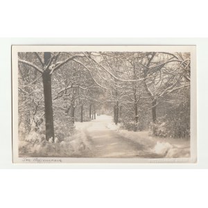GDAŃSK. Danzig - Im Steffenpark (Park Steffensa)