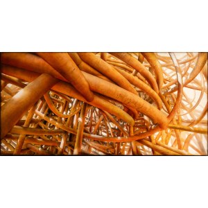 Peter Gric (born 1968), Network V, 2013-2014