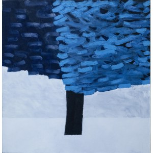 Michał Jędrczak, 200623 (Baum), 2023