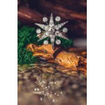 Brooch-pendant in the form of a star, 19th/20th century.