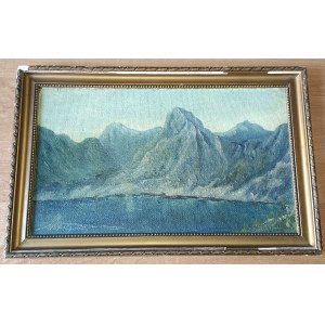 AUTHOR UNKNOWN, PAINTING OIL ON CARDBOARD MOUNTAIN MOTIF, SIGNED SIGNATURE ILLEGIBLE
