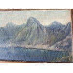 AUTHOR UNKNOWN, PAINTING OIL ON CARDBOARD MOUNTAIN MOTIF, SIGNED SIGNATURE ILLEGIBLE