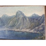 AUTHOR UNKNOWN, PAINTING OIL ON CARDBOARD MOUNTAIN MOTIF, SIGNED SIGNATURE ILLEGIBLE
