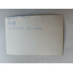 PHOTO BY MINING ORCHESTRA