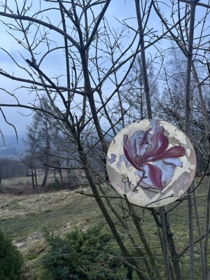 Honorata CHAJEC (ur. 1983), Magnolia, 2025