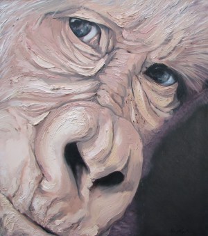 Marcin Paprota, Hominidae 1, 2017