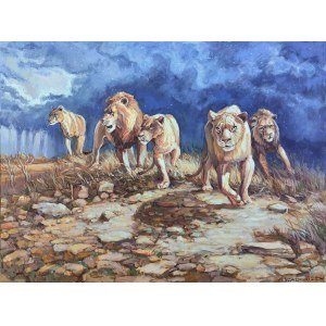 Marek Szal, Lions, 2025