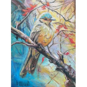 Grzegorz Wojcik, Mr. Bird,