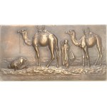 IIIe République (1870-1940). Uniface plaque, Prayer in the Desert, by P. Lenoir ND (c.1915), Paris.