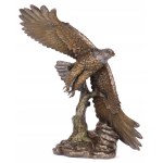 Fig. aquila
