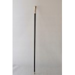 Silver cane with the Polish eagle