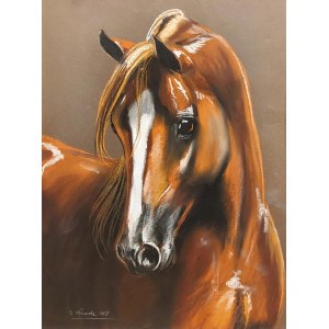 S.Tlenda, Young horse, 2008