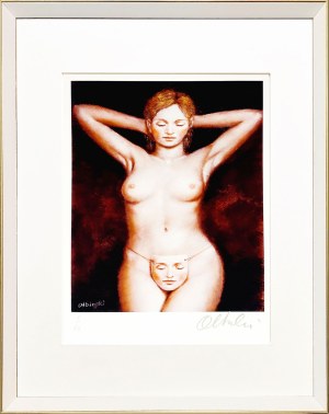 Rafał Olbiński (ur. 1943), Temporary Appreciation II (I/XX)