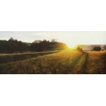 Konrad Hamada, Towards the setting sun, 2026