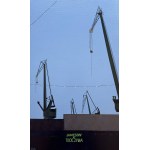 Patrycja Szmyt, Chair of Industry, 2026