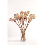 Ceramic flowers, Magnolias and poppies - bouquet of 20 pieces, 2025