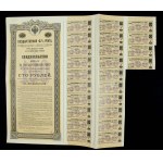 Russia, 4% State Pension (1902), 100 rubles, narrow bond (188)