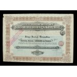 S.A. Belge Soies Artificielles, Sochaczew, 500 francs 1912 (196)