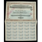 S.A. Belge Soies Artificielles, Sochaczew, 500 francs 1912 (196)