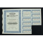 Warszawskie Tow. Fabryk Cukru, 5 shares of III series for 500 zlotys from 1937 (202)