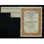 Sosnowitz Pipe and Iron Works Society, 216 marks/25 zlotys 1921 (208)